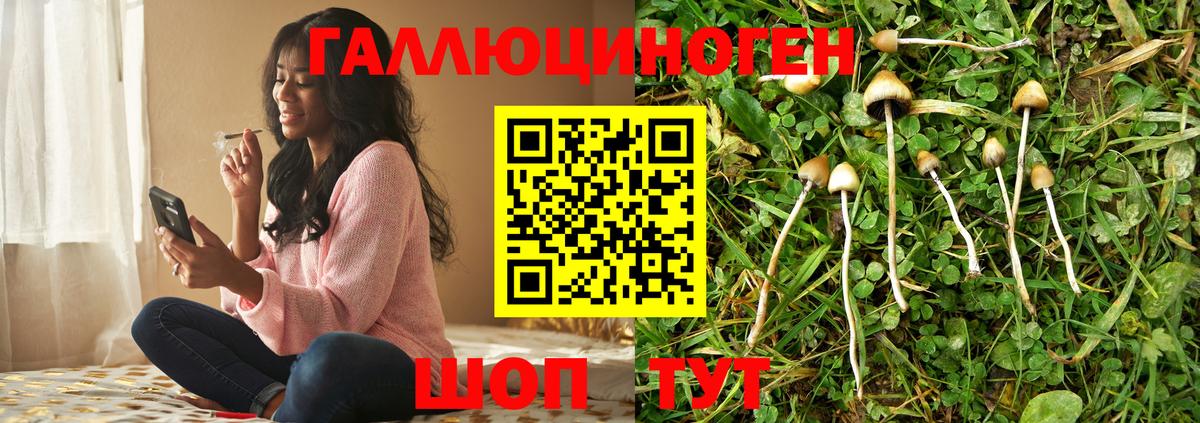 Златоуст  Псилоцибиновые грибы MAGIC MUSHROOMS  дарнет шоп  Вход с VPN 